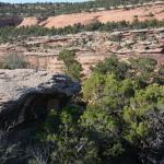 OTRA2013_2054 (July 21, 2013)